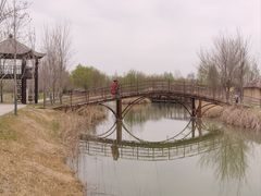 -泗洪洪泽湖湿地景区