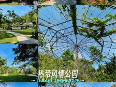 -野象谷景区
