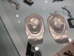 -兰科达眼镜(西固店)