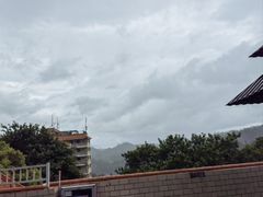 -深圳仙湖植物园