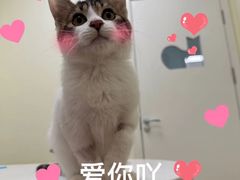 -美联众合24小时·皮肤科·外科·全科诊疗中心(华苑分院)