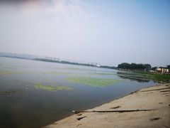 -丁香湖公园