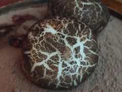 超级玛丽-老板恋上鱼(恒隆广场店)