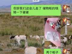 -上海玛雅海滩水公园