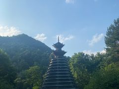 -阿哈湖国家湿地公园