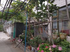 -秀水家园农家院住宿团建(石林峡店)