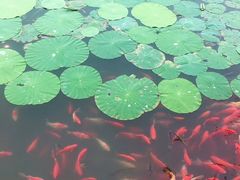 -云居湖