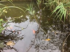 -谷咖啡·鲜花绿植花园餐厅