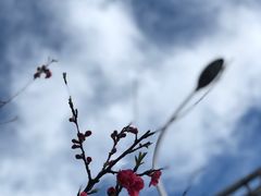 -新奥购物中心