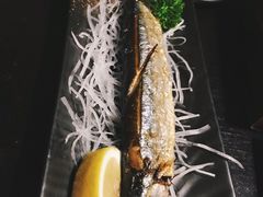 -春草居酒屋·晴子の店