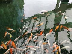-南昌动物园