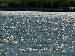 -丁香湖公园