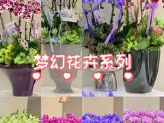 -F.Story 花和故事(新天地店)