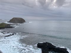 -企鹅岛