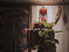 -馬蘭花開(车站大道店)