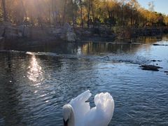 -鄂尔多斯野生动物园