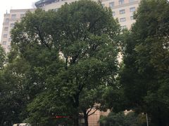 -山明水秀大饭店