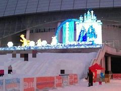 -沈阳奥体冰雪嘉年华