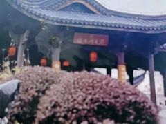 -溪口-滕头旅游景区