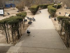 -森林公园(尖草坪区)