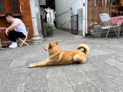-大青树咖啡(大理古城店)