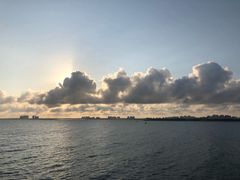 -东郊椰林