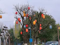 -西溪国家湿地公园