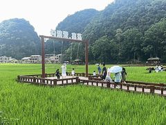 -高荡千年布依古寨旅游景区