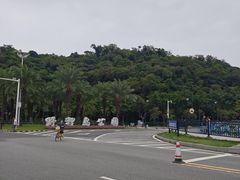 -野狸岛