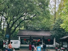 -瀛洲公园