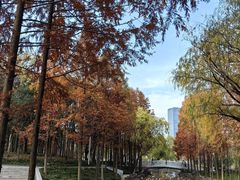 -大宁郁金香公园-停车场