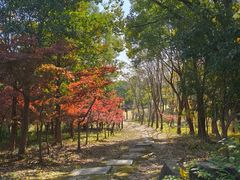 -梁鸿国家湿地公园