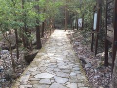 -花岩国家森林公园