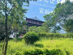 -四望岗公园