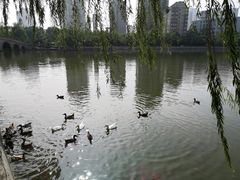 -迎泽公园