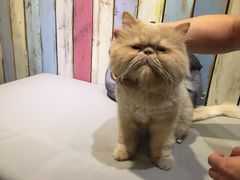 -小时光咖啡馆(开森度假森林店)