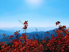 -香山公园