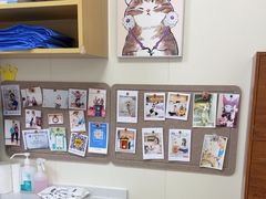 -美联众合动物医院·24h京西诊疗中心