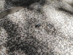 -草庵摩尼教遗址公园