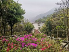 -梧桐山风景名胜区