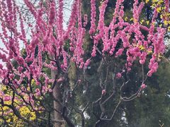 -郭守敬纪念馆