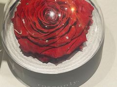 -ROSEONLY诺誓(磐基中心店)