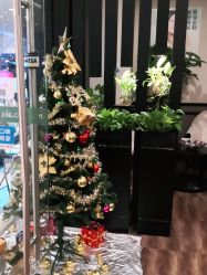 -史云逊养发护发