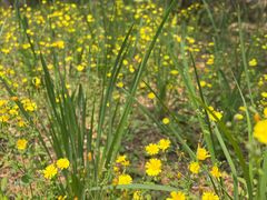 -白水寺森林公园