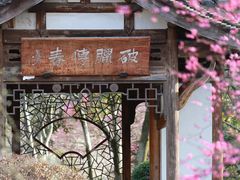 -杭州植物园