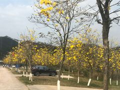 -田园寨农园观光园