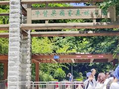 -牛背梁国家森林公园