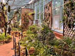 -国家植物园南园