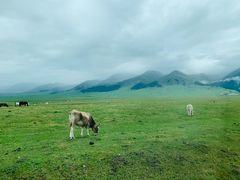 -新疆那拉提国家旅游度假区