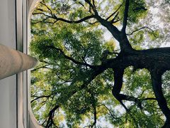 -湖北美术学院(昙华林校区)